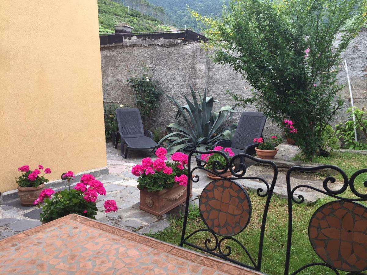 Апартаменти Il Cortile Del Contadino Воластра Екстер'єр фото